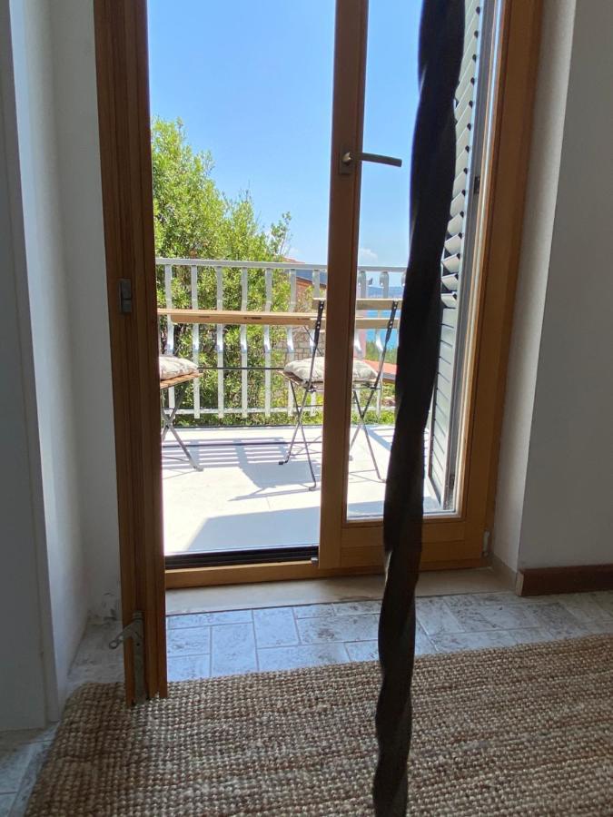 Apartament V